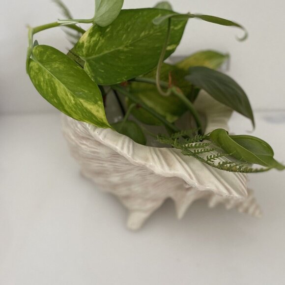 Vintage Ceramic Mold Neutral Nautilus Conch Sea Shell Planter Vase Beach House - Picture 4 of 12
